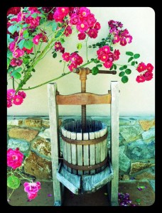 WinePressFlowers